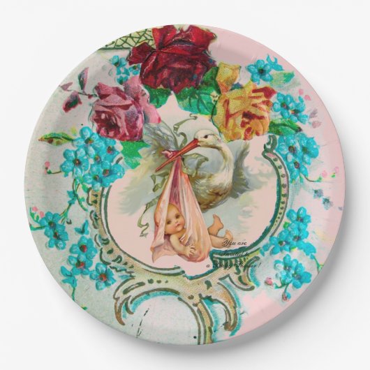 STORK BABY MEISJE DOUCHE MET ROZE ROZEN EN BLOEMEN PAPIEREN BORDJE (Voorkant)