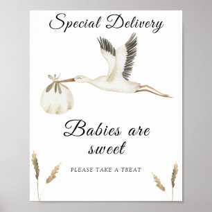 Stork baby shower - baby's zijn zoet poster