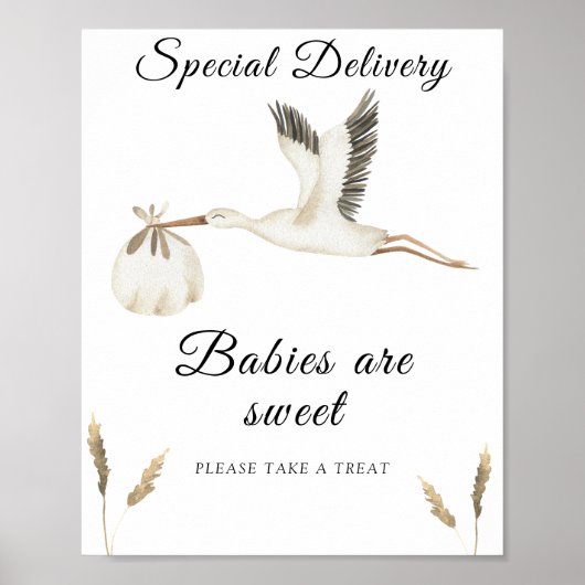 Stork baby shower - baby's zijn zoet poster (Voorkant)
