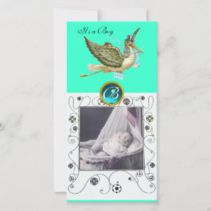 STORK BABY SHOWER SWIRLS MONOGRAM aquamarijn Aankondiging