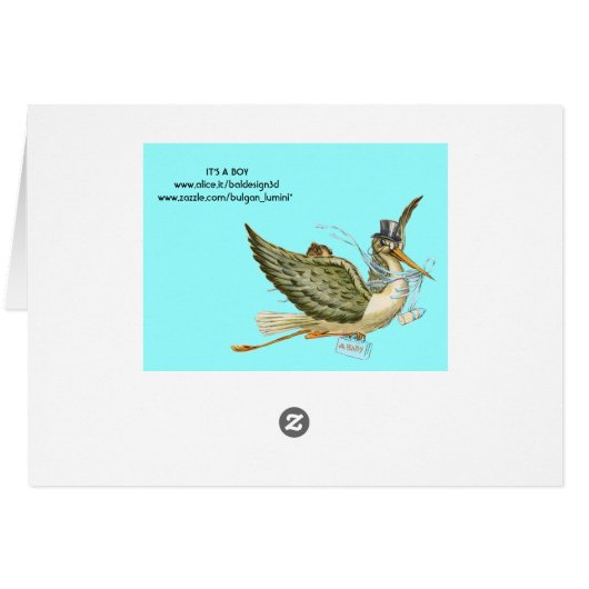 STORK BOY BABY SHOWER (Achterkant Horizontaal)