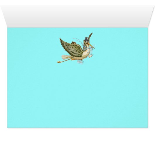 STORK BOY BABY SHOWER (Binenzijde Horizontaal (Onderkant))