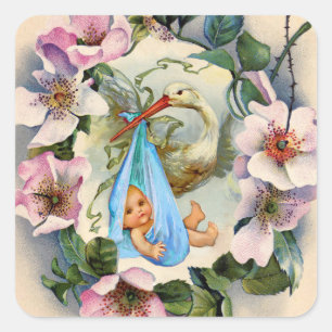 STORK BOY BABY SHOWER KROWN MET PINK WILDE ROZEN VIERKANTE STICKER