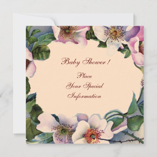 STORK BOY BABY SHOWER ,ROZE WILDE ROZEN Bedankt Kaart (Achterkant)