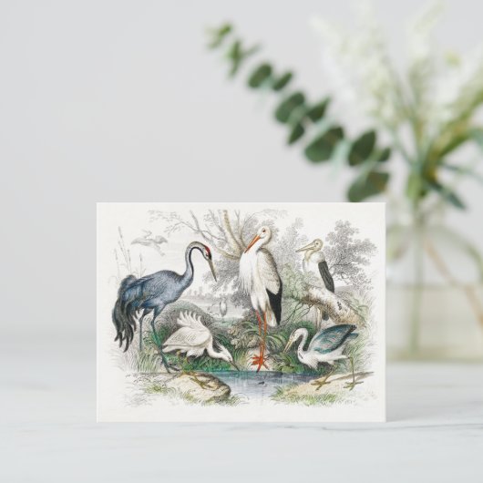 Stork Crane  Art Briefkaart (Staand voorkant)