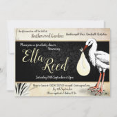 Stork Cream Baby Douche Uitnodigingen (Voorkant)