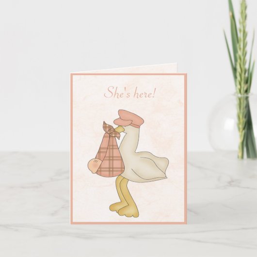 Stork dat ze hier is. Whimsical Peach Baby Aankondiging (Voorkant)