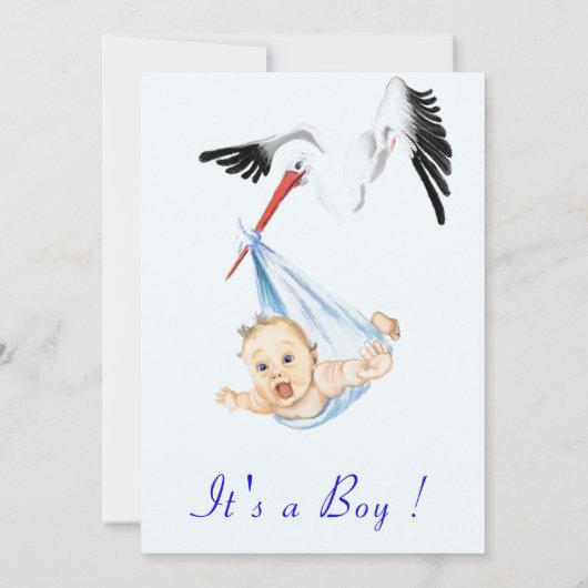 Stork en Baby Boy Shower Uitnodiging Voorbeeld (Achterkant)