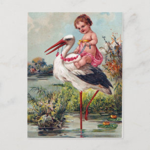 Stork en Baby Briefkaart