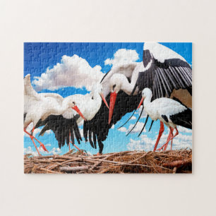 Stork Family, Jigzaag Puzzle Legpuzzel