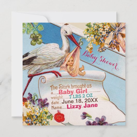 STORK, FLOWERS GiRL BABY SHOWER BIRTH STATUS Kaart (Voorkant)