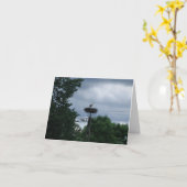 Stork Foto Baby Zwangerschapsaankondiging Kaart (Gele Bloem)