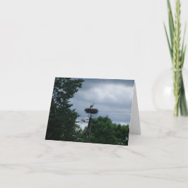 Stork Foto Baby Zwangerschapsaankondiging Kaart