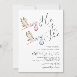 Stork Gender Reveal Invitation Kaart