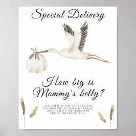 Stork - hoe groot is het buikspel van mama poster