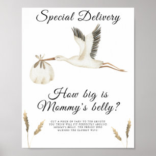 Stork - hoe groot is het buikspel van mama poster