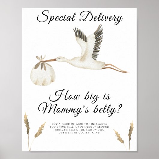 Stork - hoe groot is het buikspel van mama poster (Voorkant)