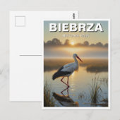 Stork in Biebrza Nationaal Park Polen Reizen Briefkaart (Voorkant / Achterkant)