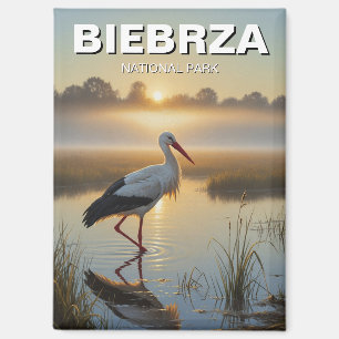 Stork in Biebrza Nationaal Park Polen Reizen Magneet