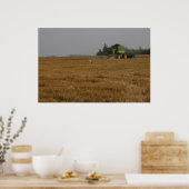 Stork in cornfield poster (Keuken)