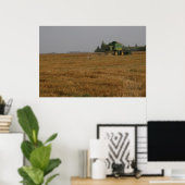 Stork in cornfield poster (Thuiskantoor)