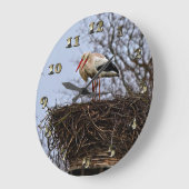 Stork in Nest Grote Klok (Hoek)