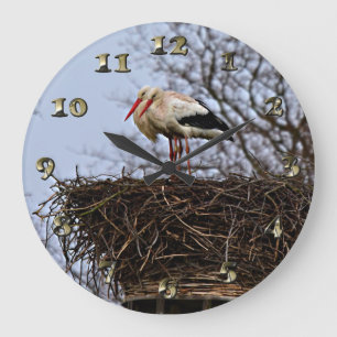 Stork in Nest Grote Klok