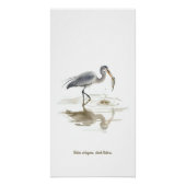 Stork in water perfect poster (Voorkant)