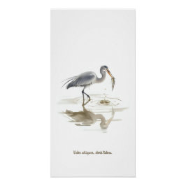 Stork in water perfect poster