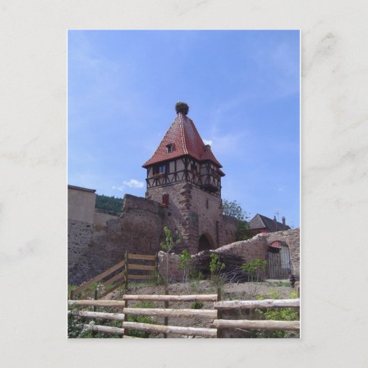 Stork nest in Chatenois Briefkaart (Voorkant)