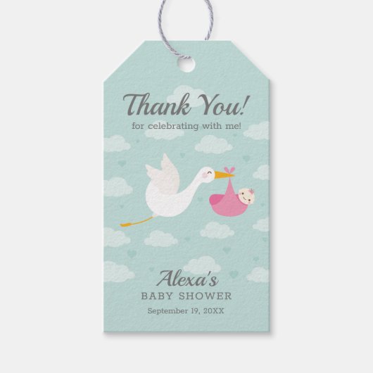 Stork Pink Bundle Girl Baby shower Favor Cadeaulabel (Voorkant)