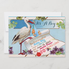 STORK, SHAMROCKS BOY BABY SHOWER BIRTY STATS KAART