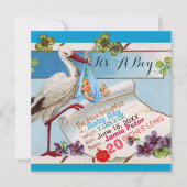 STORK, SHAMROCKS BOY BABY SHOWER BIRTY STATS KAART (Voorkant)