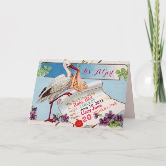 STORK, SHAMROCKS GiRL BABY SHOWER BIRTH STATS (Voorkant)