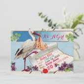 STORK, SHAMROCKS GiRL BABY SHOWER BIRTH STATS Kaart (Staand voorkant)