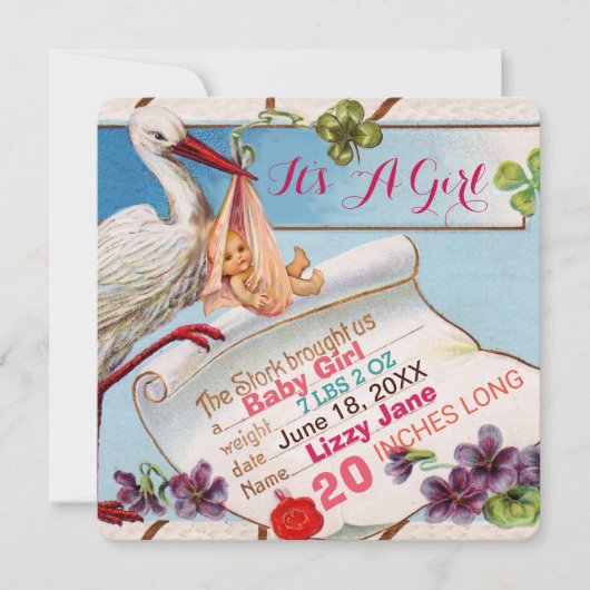 STORK, SHAMROCKS GiRL BABY SHOWER BIRTH STATUS Kaart (Voorkant)