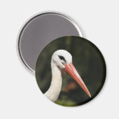 Stork - symbool Straatsburg en Elzas, Frankrijk Magneet (Voorkant / Achterkant)