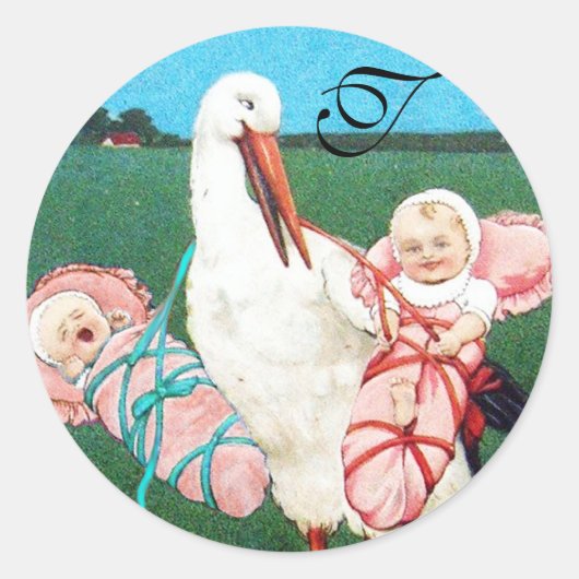 STORK TWIN BABY GIRL SHOWER MONOGRAM RONDE STICKER (Voorkant)