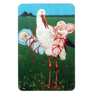 STORK TWIN BABY SHOWER, roze, Blauwgroen blauw Magneet