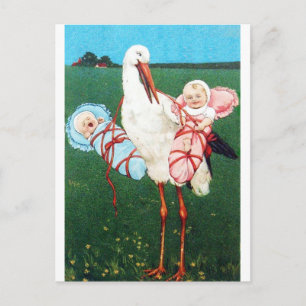 STORK TWIN BABY SHOWER, roze, Blauwgroen blauw Uitnodiging Briefkaart