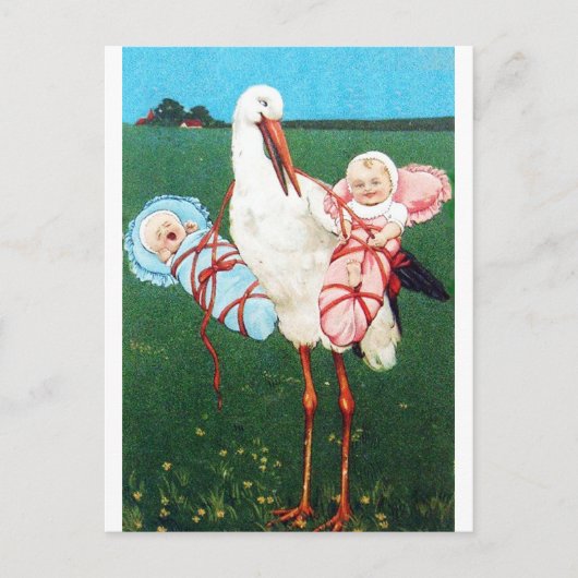 STORK TWIN BABY SHOWER, roze, Blauwgroen blauw Uitnodiging Briefkaart (Voorkant)