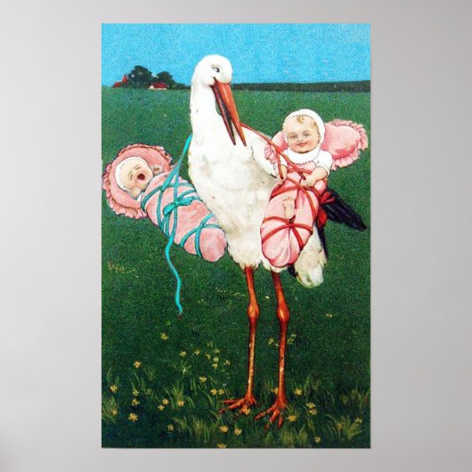 STORK TWIN GIRLS BABY SHOWER MONOGRAM, POSTER (Voorkant)