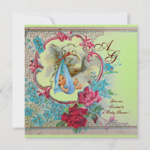 STORKBABY BOY SHOWER MET ROZEN EN BLAUWE STROMEN KAART