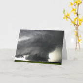 STORM 7 KAART (Gele Bloem)