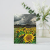 Storm augustus , briefkaart (Staand voorkant)
