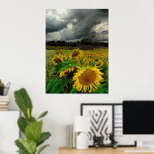 Storm augustus, poster (Thuiskantoor)