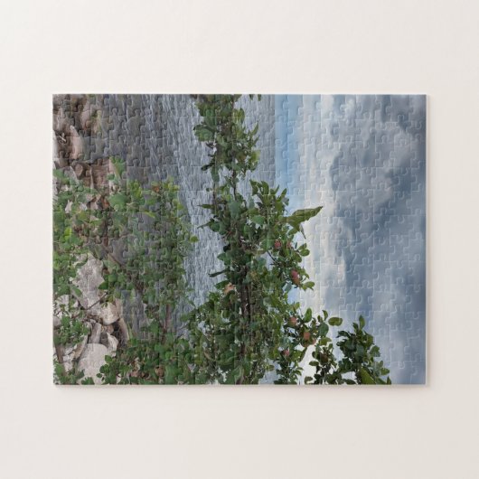 Storm komt uit Apple Tree Lake Puzzle Legpuzzel (Horizontaal)