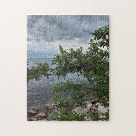 Storm komt uit Apple Tree Lake Puzzle Legpuzzel