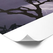 Storm Kookaburra Poster (Hoek)