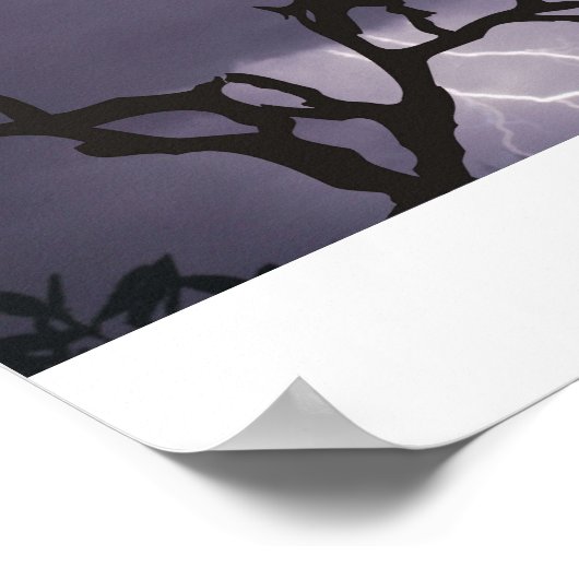 Storm Kookaburra Poster (Hoek)